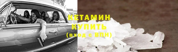 соль ск Новозыбков