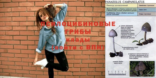 гашишное масло Новодвинск