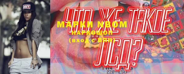 соль ск Новозыбков