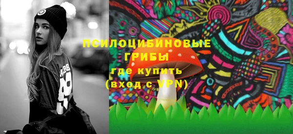 соль ск Новозыбков