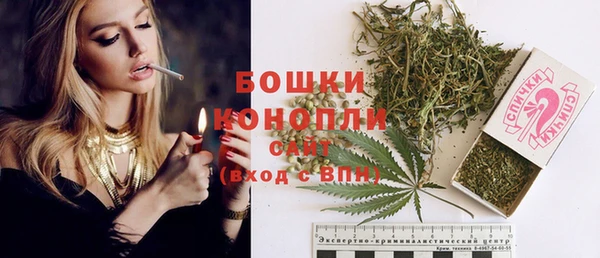соль ск Новозыбков