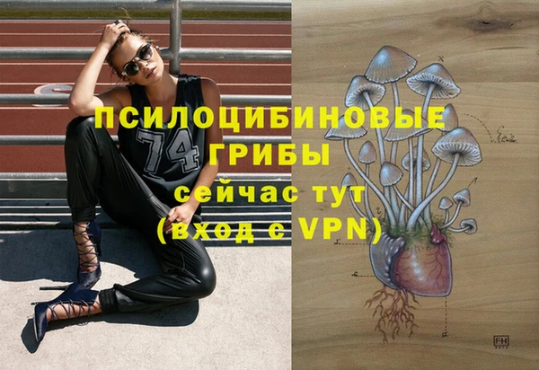 ALPHA PVP Новокубанск