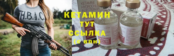 соль ск Новозыбков