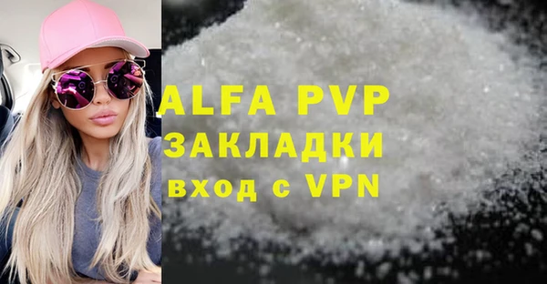 соль ск Новозыбков