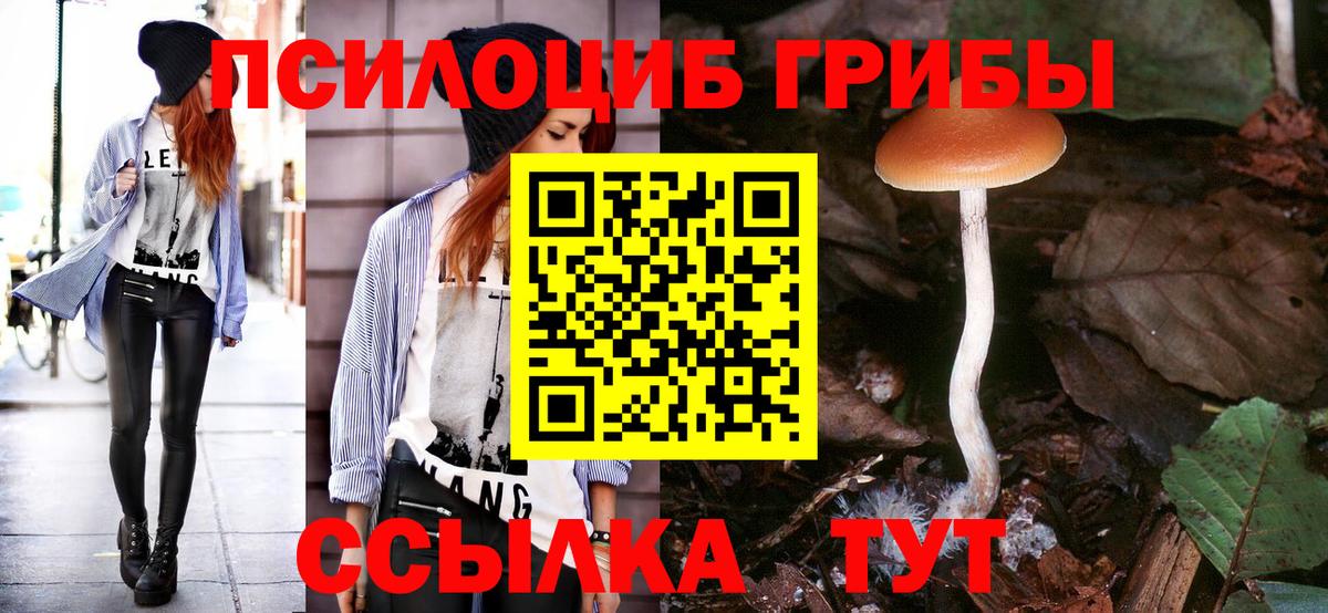Псилоцибиновые грибы Psilocybe  Вход с VPN  Галлюциногенные грибы Psilocybine cubensis  Североморск 
