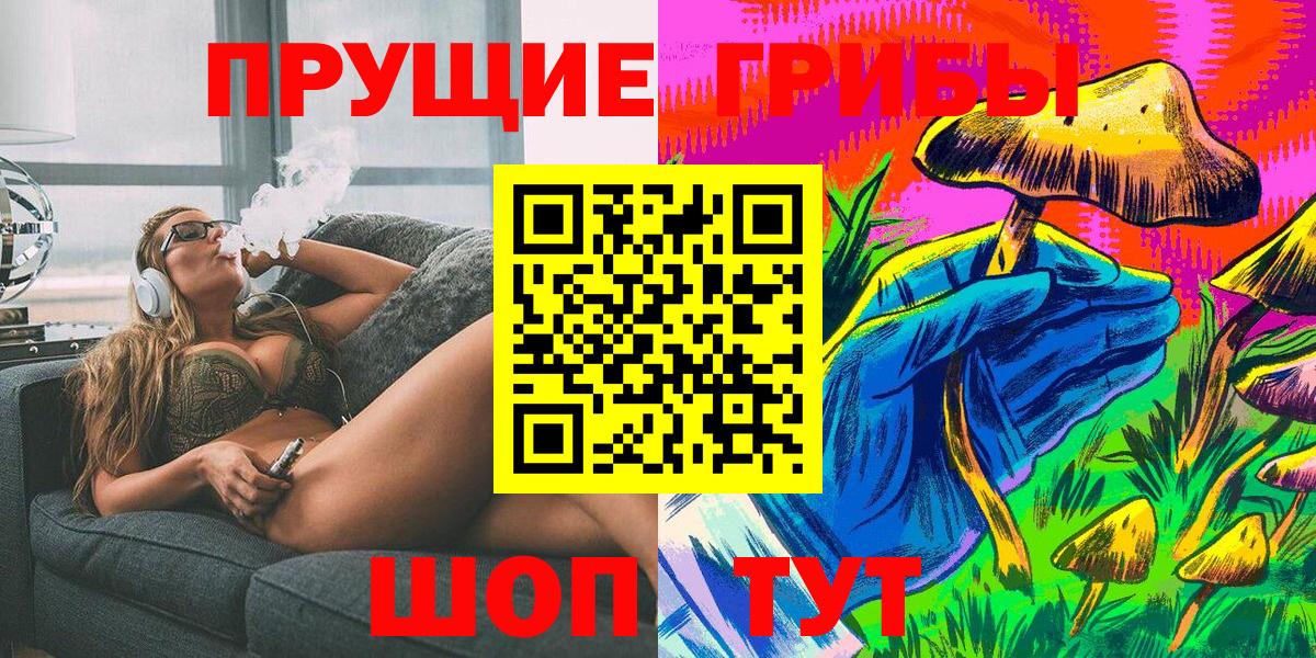 МЕФ Североморск